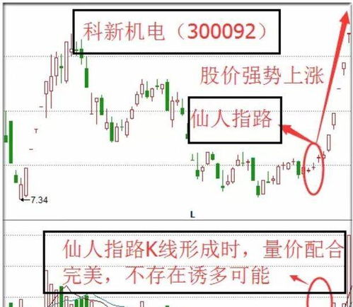 宁波公司网站排名优化软件（提升公司网站排名的利器）