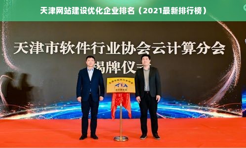 天津网站建设优化企业排名（2021最新排行榜）