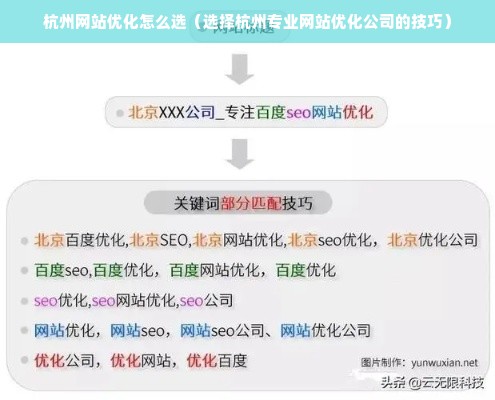 杭州网站优化怎么选（选择杭州专业网站优化公司的技巧）