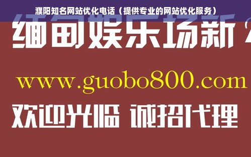 濮阳知名网站优化电话（提供专业的网站优化服务）