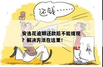 安逸花还了怎么套不出来（安逸花提前还款指南）