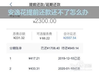 安逸花还了怎么套不出来（安逸花提前还款指南）