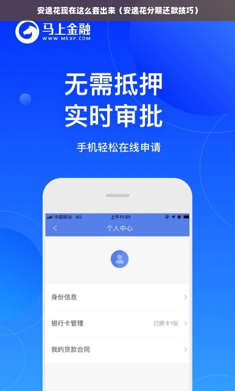 安逸花现在这么套出来（安逸花分期还款技巧）