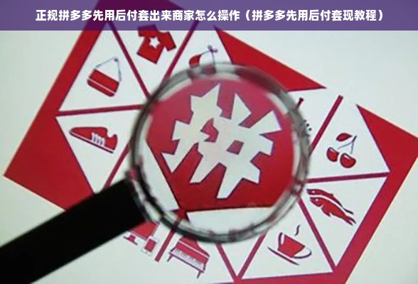 正规拼多多先用后付套出来商家怎么操作（拼多多先用后付套现教程）