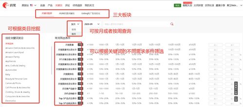 亚马逊运营关键词优化工具，提升销售额的秘诀