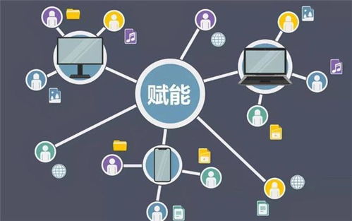 乌鲁木齐SEO网站优化公司，助力企业实现数字化转型