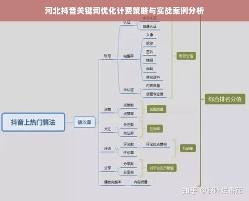 河北抖音关键词优化计费策略与实战案例分析