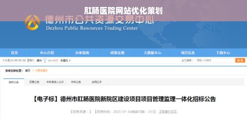 肛肠医院网站优化策划