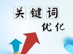 枣庄SEO关键词排名优化，提升网站影响力与竞争力的终极策略