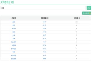 吴川网站关键词排名优化，提升网站流量与竞争力的终极攻略