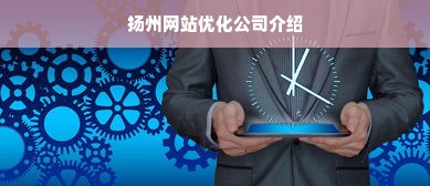 扬州网站优化公司介绍