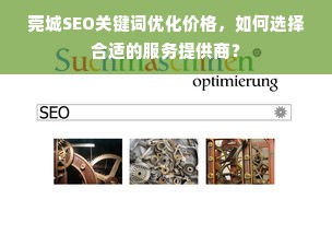 莞城SEO关键词优化价格，如何选择合适的服务提供商？