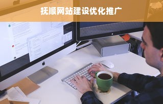 抚顺网站建设优化推广