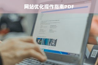 网站优化操作指南PDF