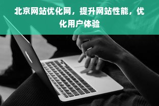 北京网站优化网，提升网站性能，优化用户体验