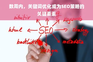 数周内，关键词优化成为SEO策略的关键要素