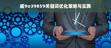 威9o39859关键词优化策略与实践