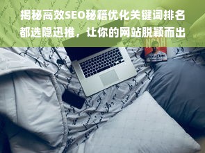 揭秘高效SEO秘籍优化关键词排名都选隐迅推，让你的网站脱颖而出！