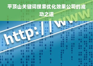 平顶山关键词搜索优化效果公司的成功之道