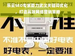 乐云SEO专家助力武汉关键词优化，打造高效网络营销策略