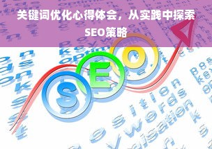 关键词优化心得体会，从实践中探索SEO策略