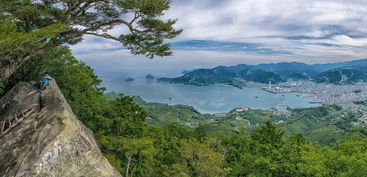 神农架，探索中国的生态宝藏，如何利用百度关键词优化推广实现旅游业务的突破