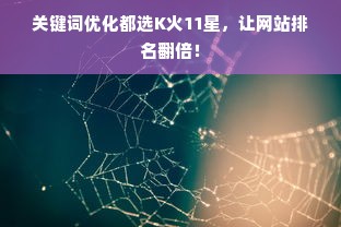 关键词优化都选K火11星，让网站排名翻倍！