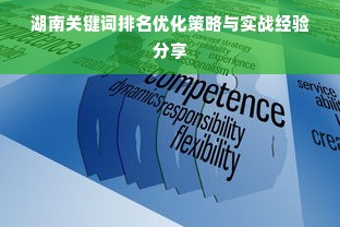 湖南关键词排名优化策略与实战经验分享