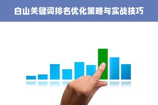 白山关键词排名优化策略与实战技巧