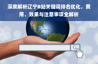 深度解析辽宁B站关键词排名优化，费用、效果与注意事项全解析