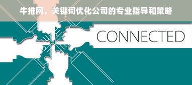 牛推网，关键词优化公司的专业指导和策略