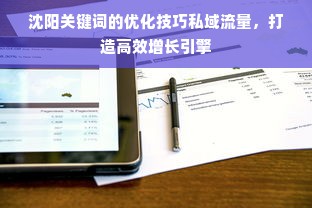 沈阳关键词的优化技巧私域流量，打造高效增长引擎