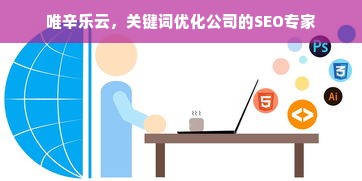 唯辛乐云，关键词优化公司的SEO专家