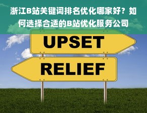 浙江B站关键词排名优化哪家好？如何选择合适的B站优化服务公司