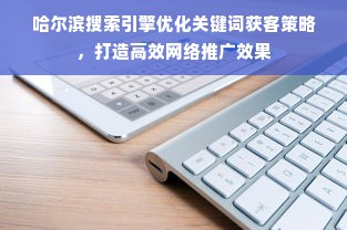 哈尔滨搜索引擎优化关键词获客策略，打造高效网络推广效果