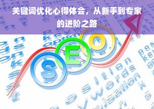 关键词优化心得体会，从新手到专家的进阶之路