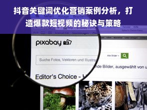 抖音关键词优化营销案例分析，打造爆款短视频的秘诀与策略