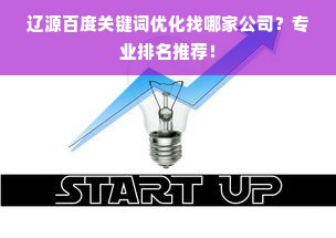 辽源百度关键词优化找哪家公司？专业排名推荐！