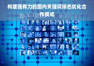 构建强有力的国内关键词排名优化合作模式