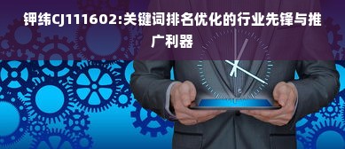 钾纬CJ111602:关键词排名优化的行业先锋与推广利器