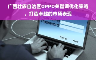 广西壮族自治区OPPO关键词优化策略，打造卓越的市场表现