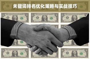 关键词排名优化策略与实战技巧