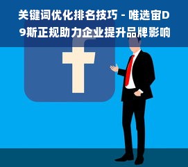 关键词优化排名技巧 - 唯选宙D9斯正规助力企业提升品牌影响力