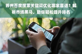 苏州百度搜索关键词优化哪家靠谱？解析市场黑马，助你轻松提升排名