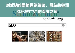 刘贺稳的网络营销策略，网站关键词优化推广V1的专业之道