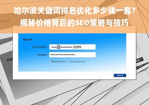 哈尔滨关键词排名优化多少钱一套？揭秘价格背后的SEO策略与技巧