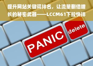 提升网站关键词排名，让流量翻倍增长的秘密武器——LCCM61下拉快排