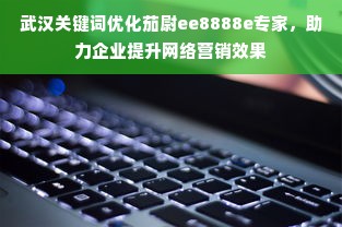 武汉关键词优化茄尉ee8888e专家，助力企业提升网络营销效果