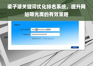 梁子湖关键词优化排名系统，提升网站曝光度的有效策略