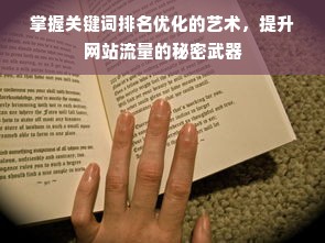 掌握关键词排名优化的艺术，提升网站流量的秘密武器